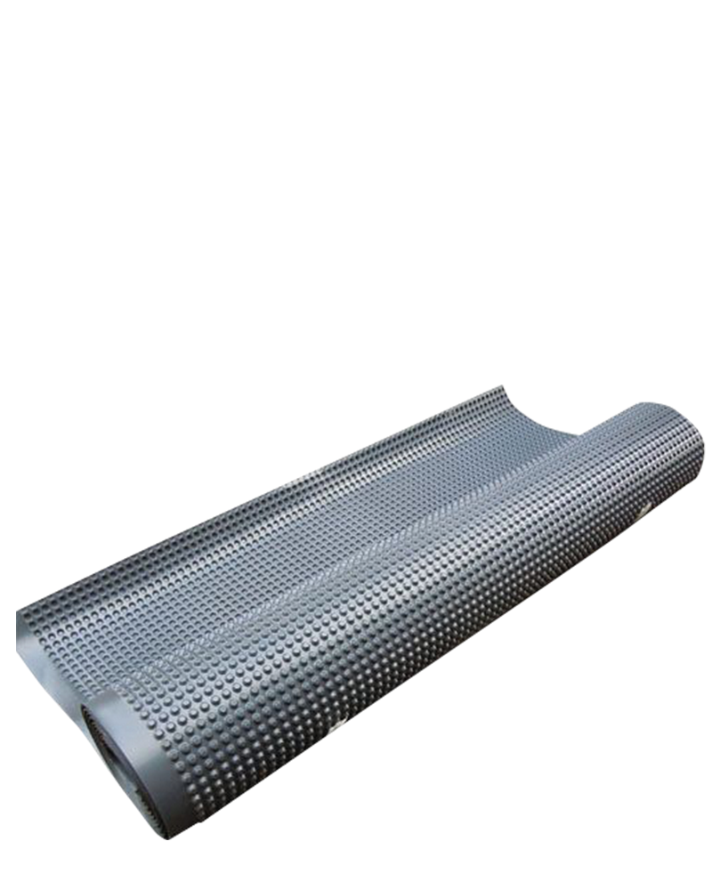 BP 80