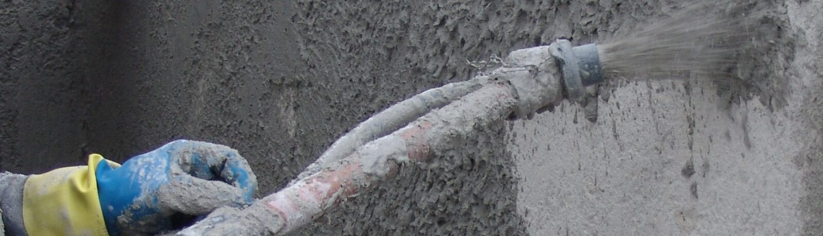 Category Image